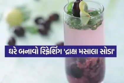 Grapes Masala Soda 0404