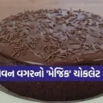 Copy of Satya web temp 6