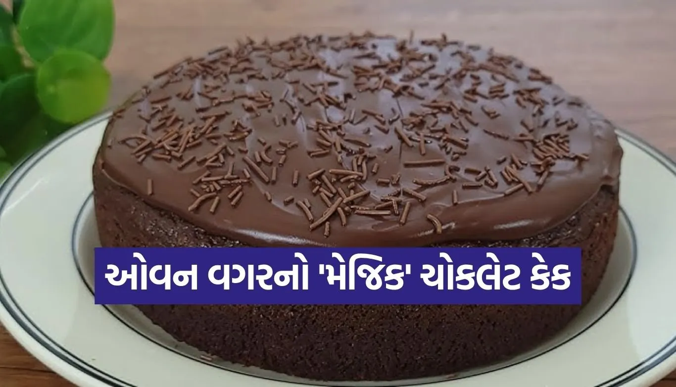 Copy of Satya web temp 6.jpg