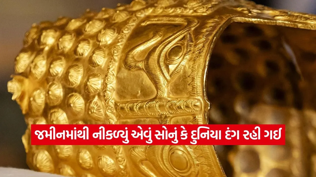 dharmishtha 1 2.jpg