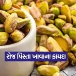 dharmishtha 1 21