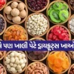 Dryfruit 0604