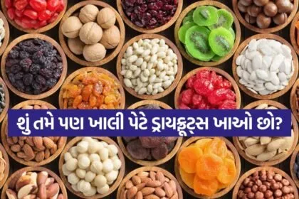 Dryfruit 0604