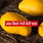 INDIA 1 2026 04 06T082257.182