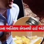 Sindhav salt 0604