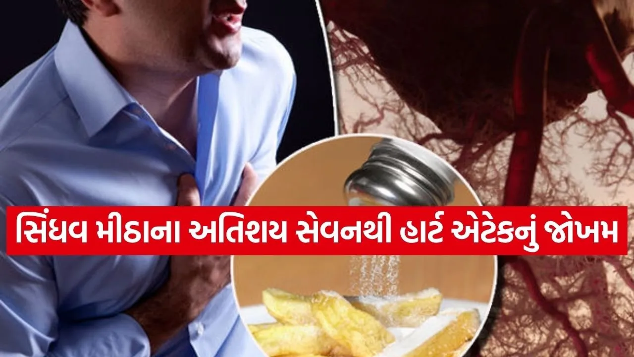 Sindhav salt 0604.jpg