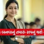Government Teacher