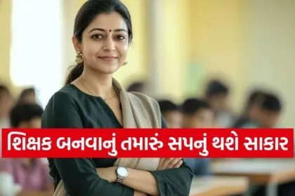 Government Teacher