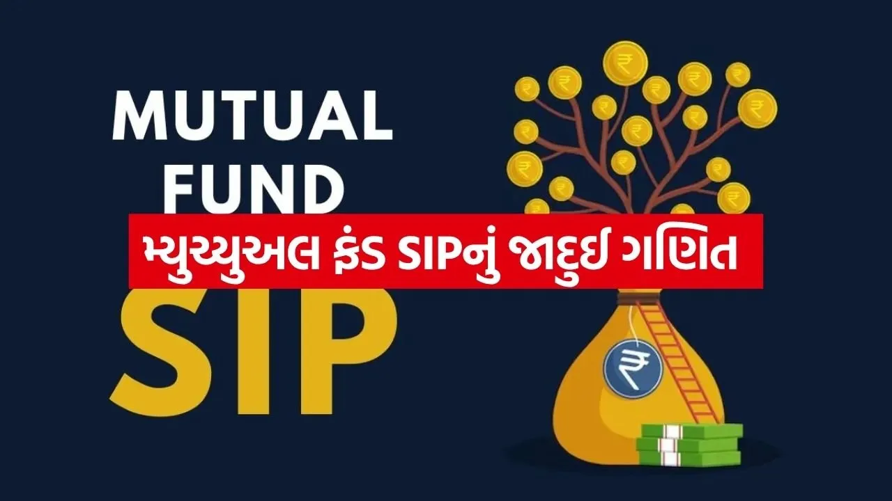 SIP 0704.jpg