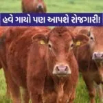 INDIA 1 2026 04 07T091234.591