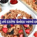 Granola 0704