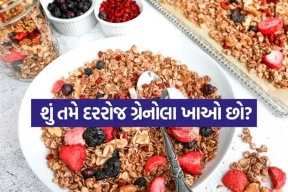 Granola 0704