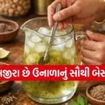 Jaljeera Drink