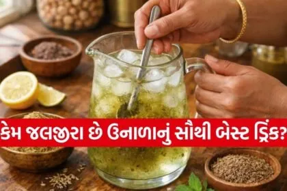 Jaljeera Drink