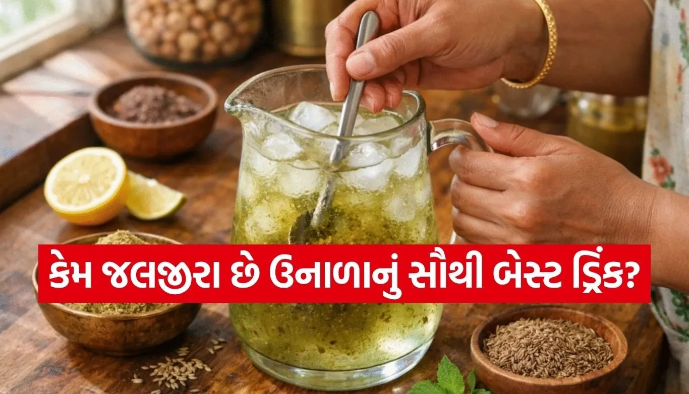 Jaljeera Drink