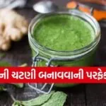 Mint Chutney