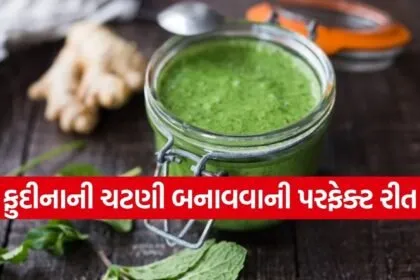 Mint Chutney
