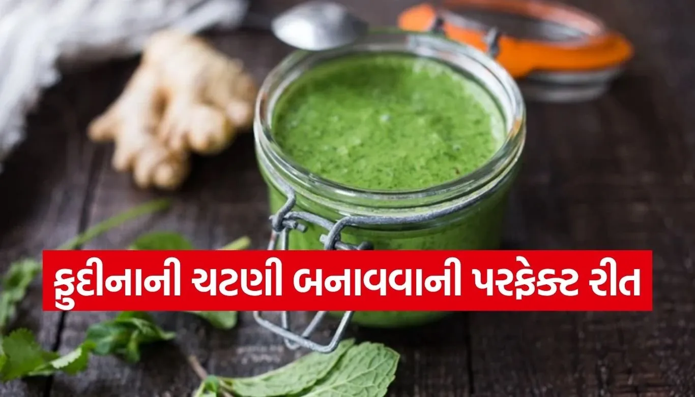Mint Chutney