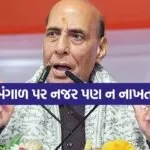 Rajnath Singh 0704
