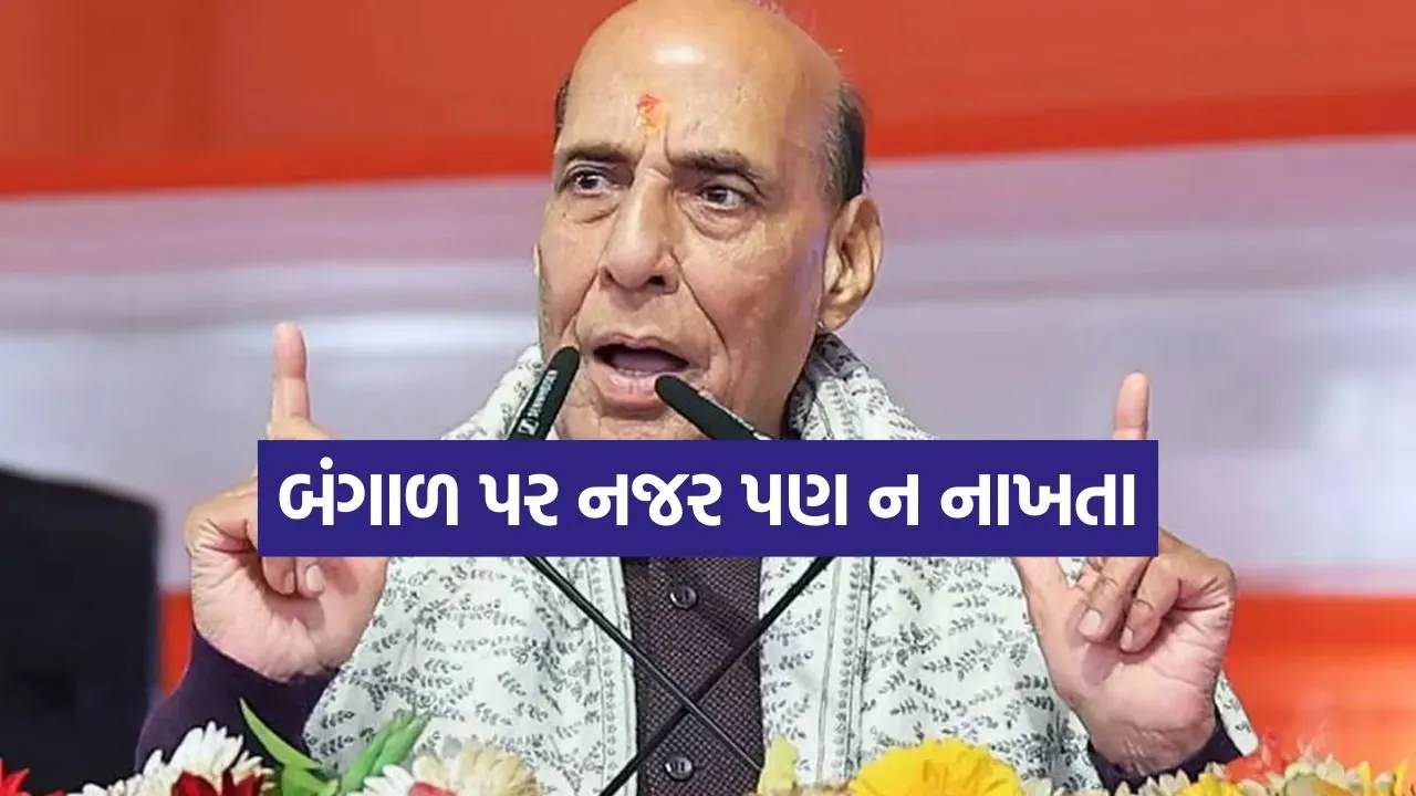 Rajnath Singh 0704.jpg
