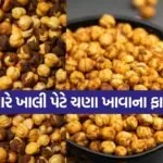 chickpea 0704