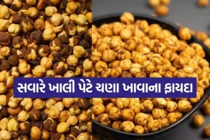 chickpea 0704