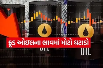 Crude Oil 0804