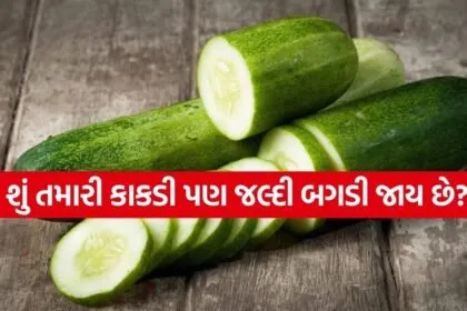 cucumber 0804