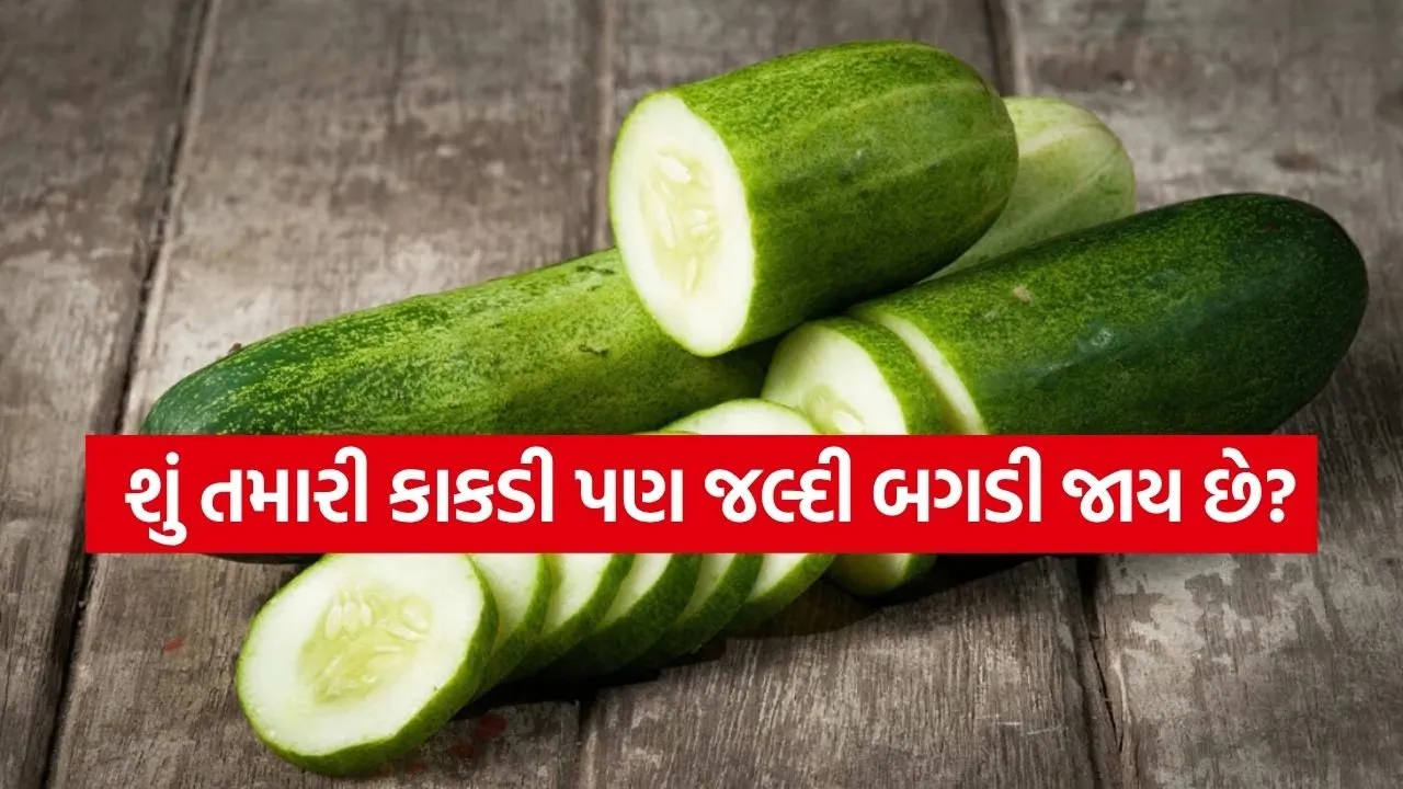 cucumber 0804.jpg