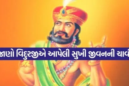 Vidur Niti 0804