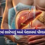 INDIA 1 2026 04 08T153016.159