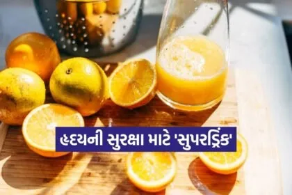 INDIA 1 2026 04 09T073256.655
