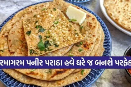 Paneer Paratha