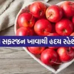Apple 0904