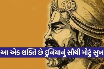 Vidur Niti