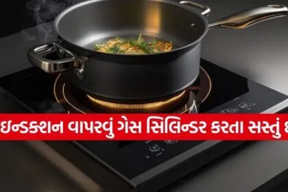 Induction stove