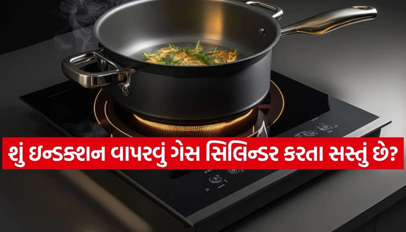 Induction stove