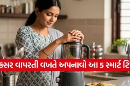 mixer grinder