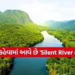 Silent River of India