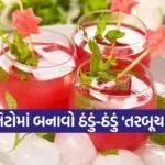 watermelon mojito