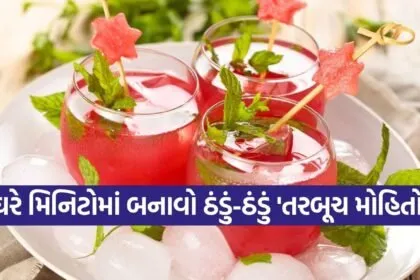 watermelon mojito