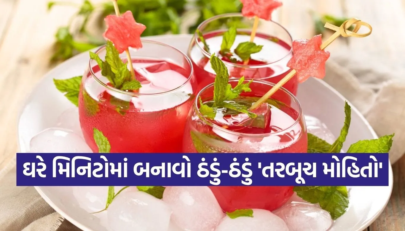 watermelon mojito