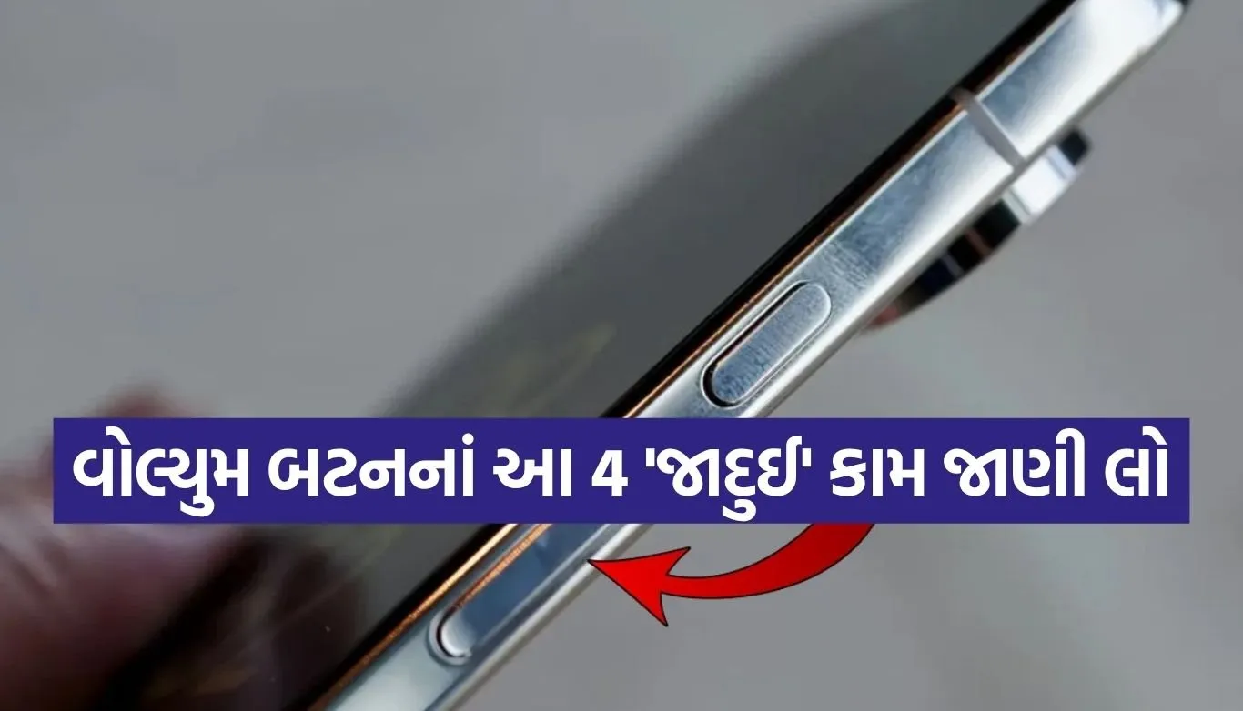 Volume button