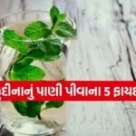 Mint water 1204
