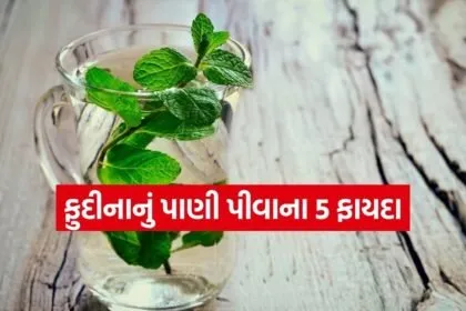 Mint water 1204