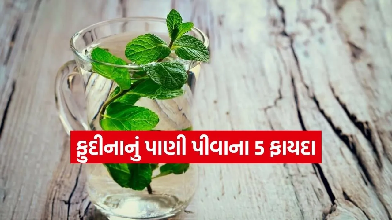 Mint water 1204.jpg