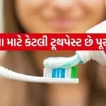 toothPaste 1304
