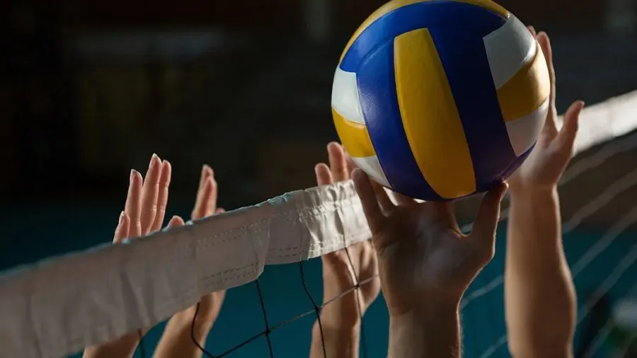 Career in sports