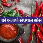 Schezwan Sauce 1304
