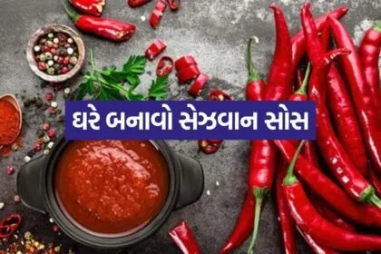 Schezwan Sauce 1304